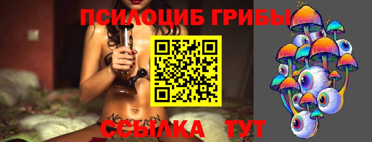 Калач-на-Дону  Псилоцибиновые грибы GOLDEN TEACHER  где купить   Вход с VPN 